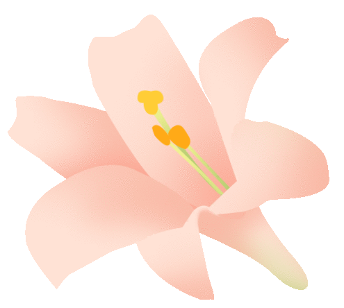 ̬Լ ݮá ŷֹŮڲժ